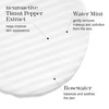 image:imageThis Works In Transit No Traces  Rosewater amp Mint Cleansing Pads 80 Count80 Count